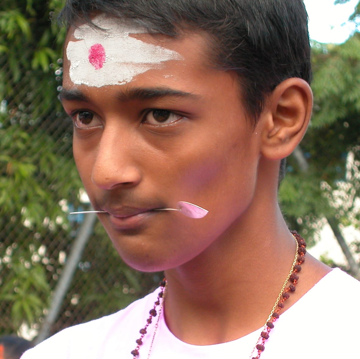 Thai poosam kavadee, Fond du Sac (Mauritius) — fotografia 3